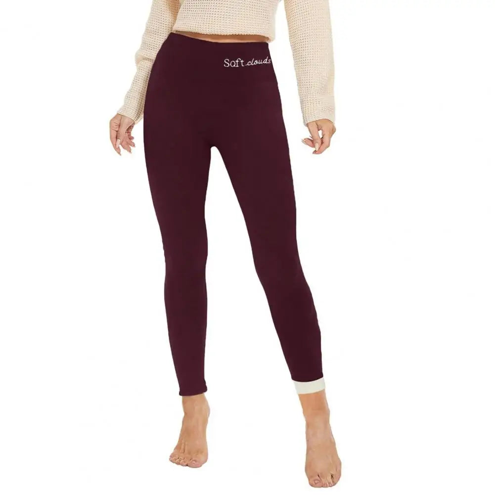 Hiver chaud velours épais pantalon slim femmes taille haute Leggings Femme vêtements crayon pantalon Femme pantalon thermique